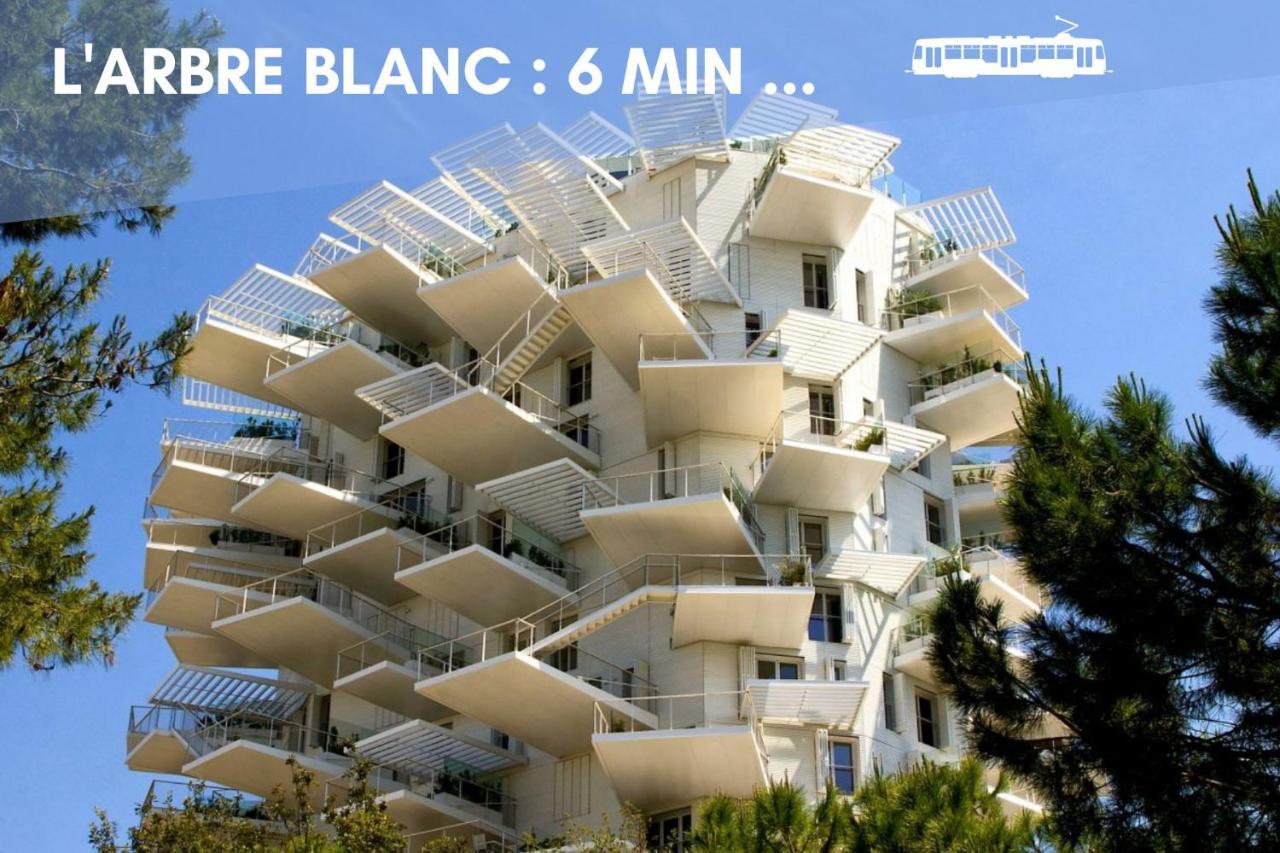 Nouveau - Jungle Montpeul - Clim - Wifi Fibre - Netflix - 5' Du Centre Et Gare - Parking - Loggia - 15' Des Plages Montpellier Zewnętrze zdjęcie