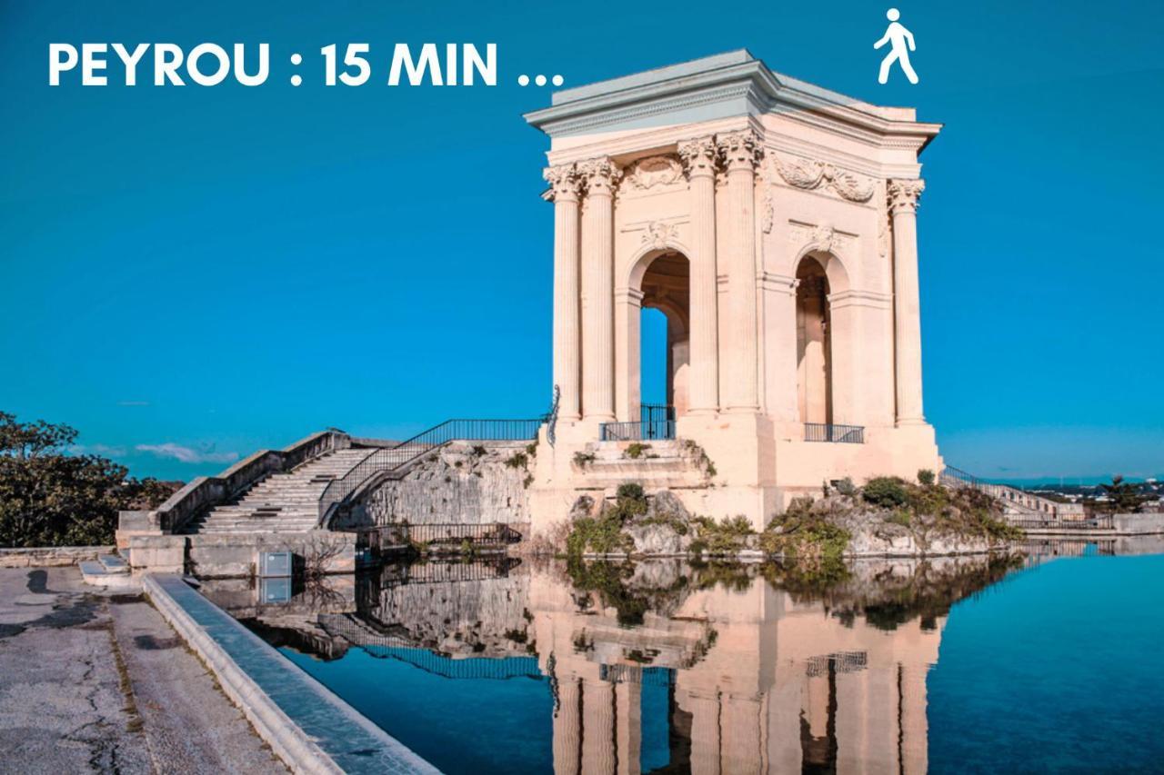Nouveau - Jungle Montpeul - Clim - Wifi Fibre - Netflix - 5' Du Centre Et Gare - Parking - Loggia - 15' Des Plages Montpellier Zewnętrze zdjęcie